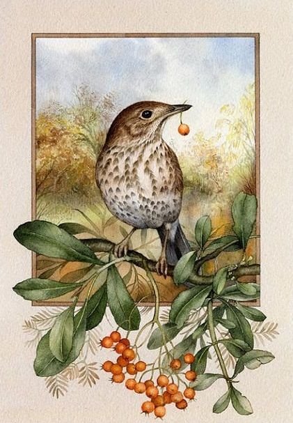 Вкусная добыча - птица - оригинал