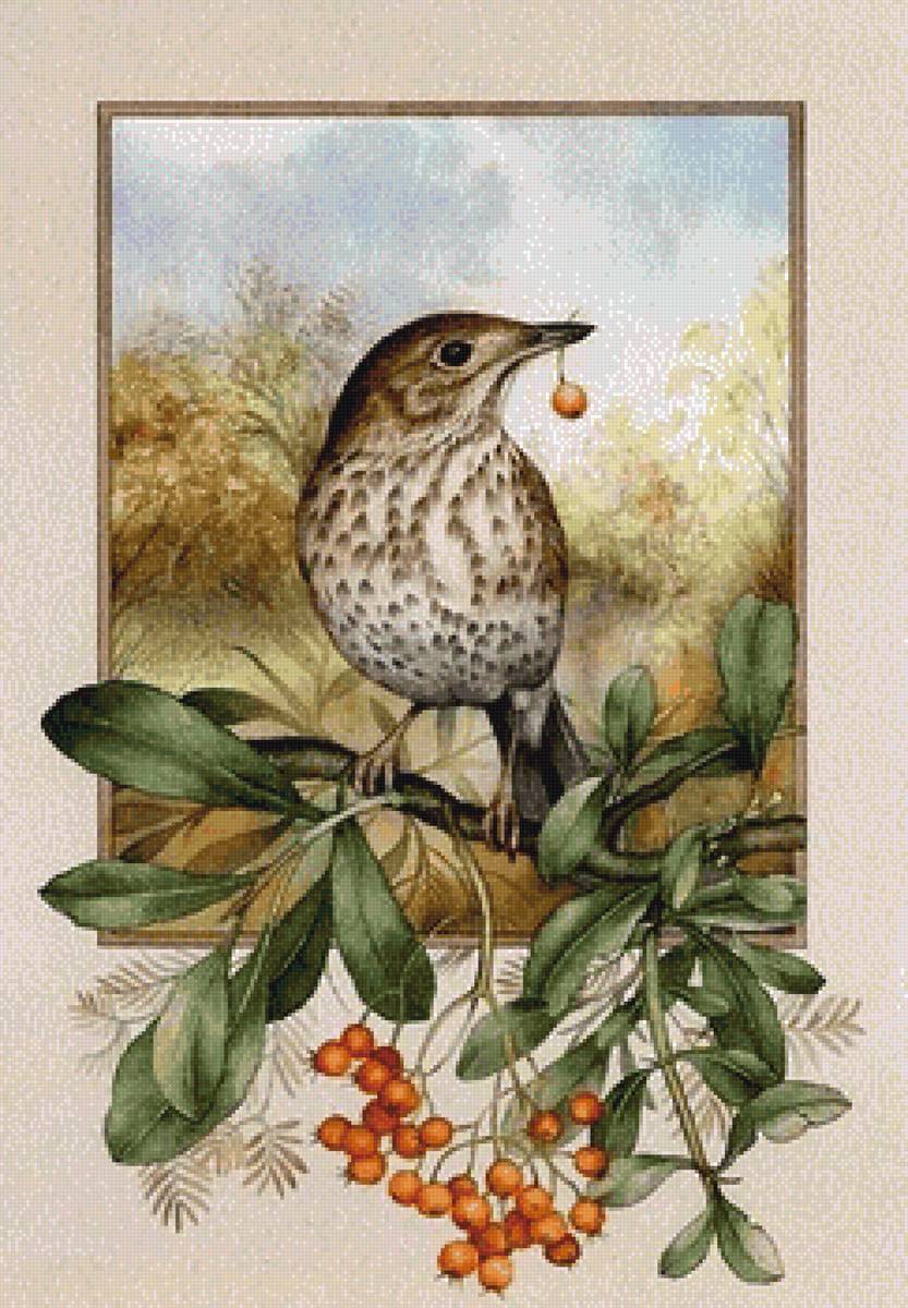 Вкусная добыча - птица - предпросмотр