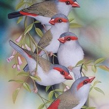 Схема вышивки «№2646572»