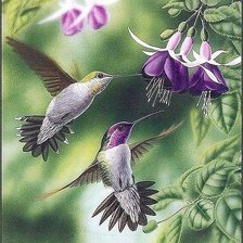 Схема вышивки «№2646606»