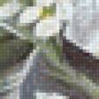 Предпросмотр схемы вышивки «Цветы и бабочки» (№2646816)