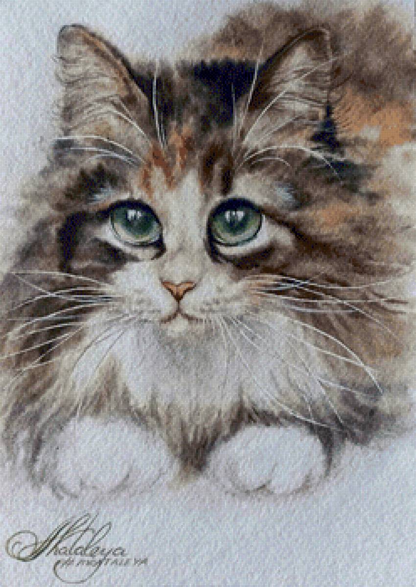Кошечка - домашние животные, кот, живопись - предпросмотр