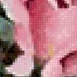 Предпросмотр схемы вышивки «Букет роз» (№2646834)