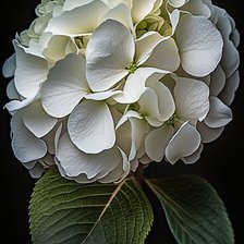 Схема вышивки «№2646876»