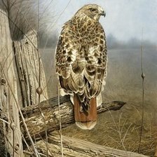 Схема вышивки «№2646897»