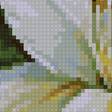 Предпросмотр схемы вышивки «№2646965»