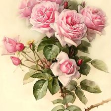 Схема вышивки «№2647016»