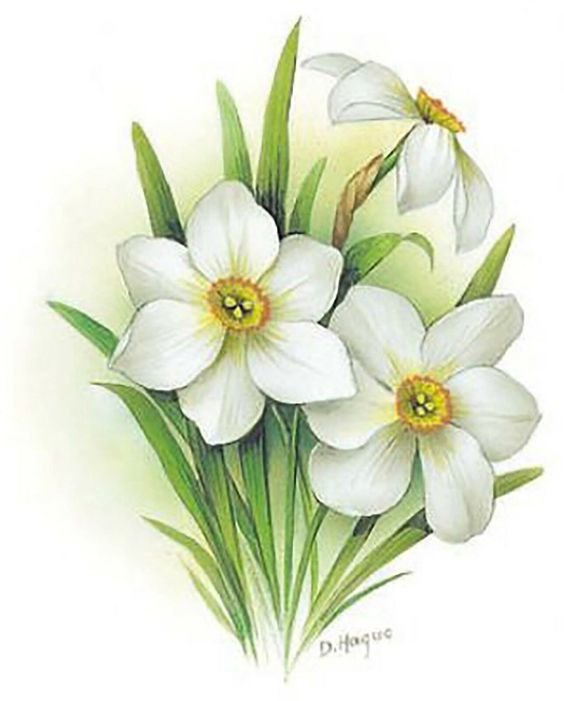 Нарциссы - весна, цветы, живопись, нарциссы - оригинал