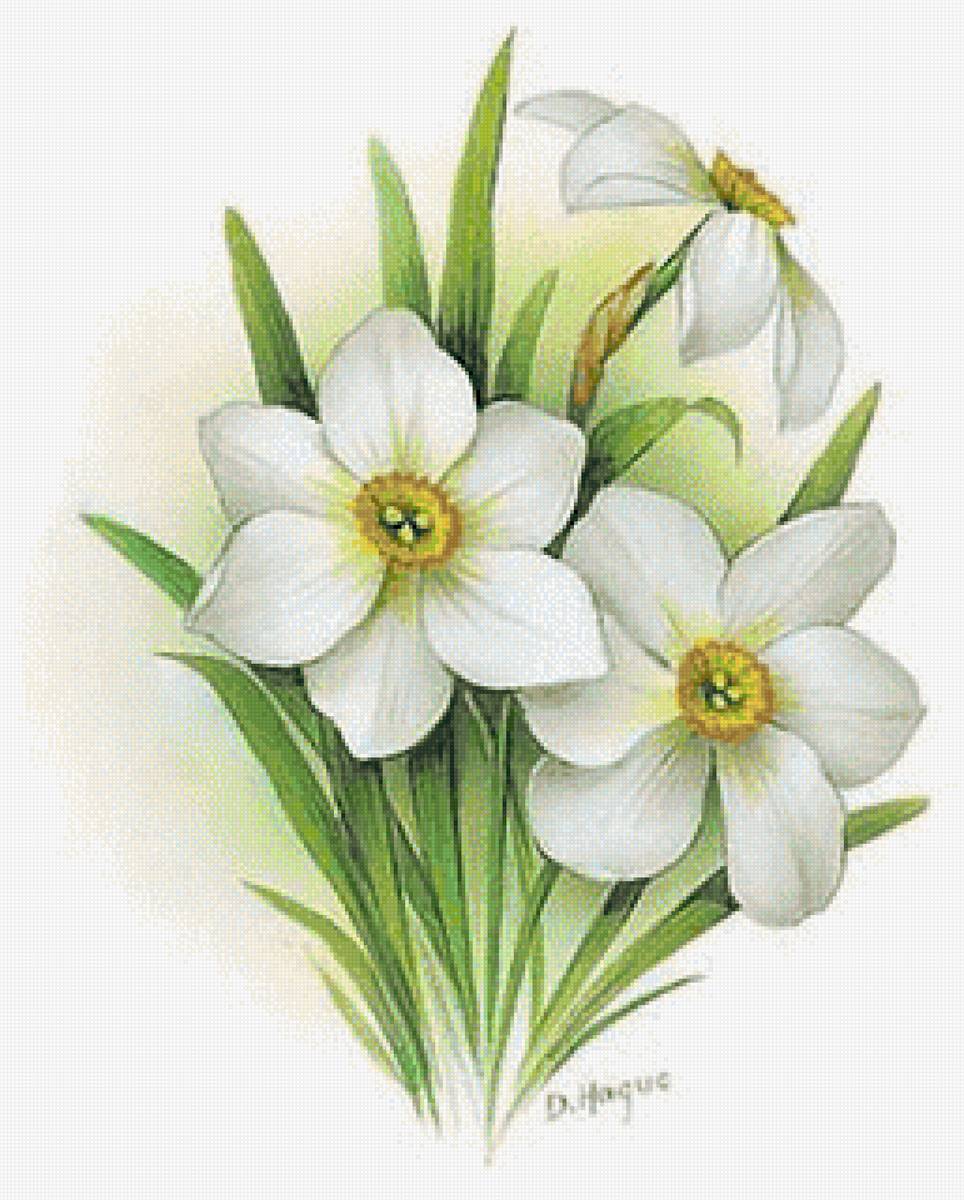 Нарциссы - весна, нарциссы, цветы, живопись - предпросмотр