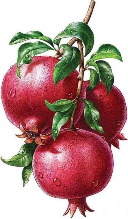 №2647512 - оригинал