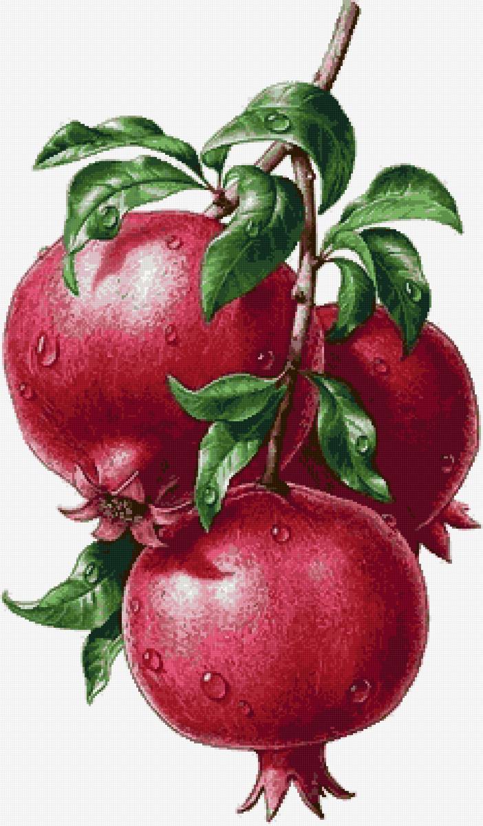 №2647512 - предпросмотр