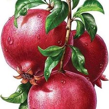 Схема вышивки «№2647512»