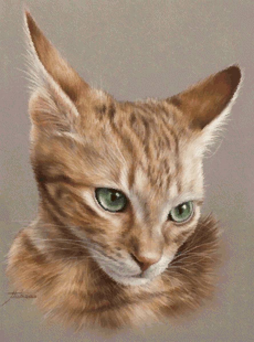 Red cat - 🐱 - предпросмотр