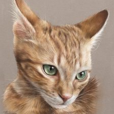 Схема вышивки «Red cat»