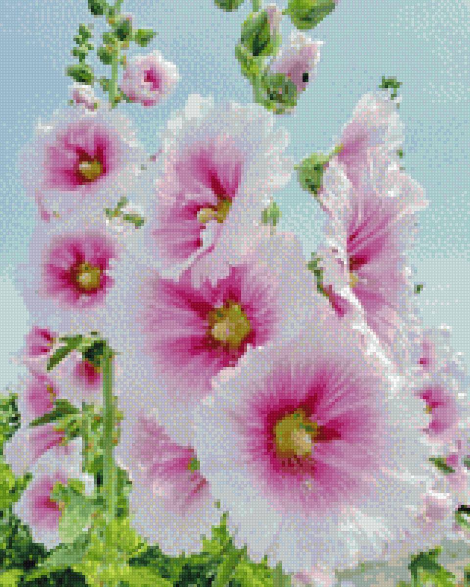 №2648962 - цветок, полевые цветы - предпросмотр