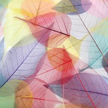 Оригинал схемы вышивки «листья разноцветные» (№2649076)