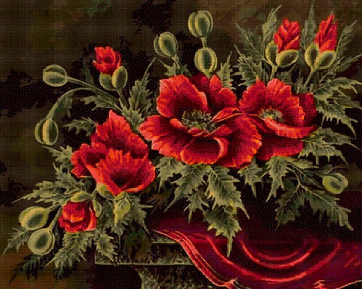 Красные маки - маки, цветы - предпросмотр