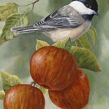 Схема вышивки «№2649389»