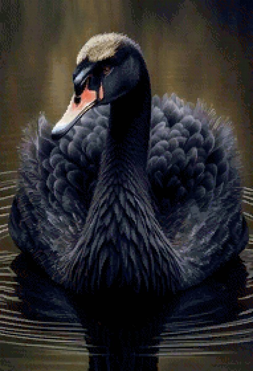 Черный лебедь - предпросмотр