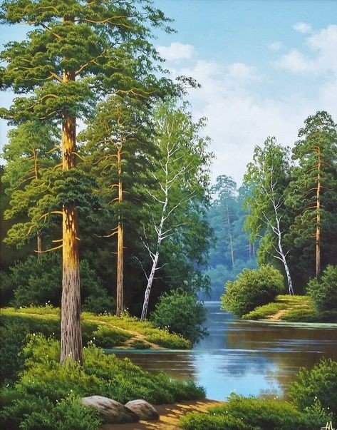 Озеро в лесу - лес, озеро - оригинал