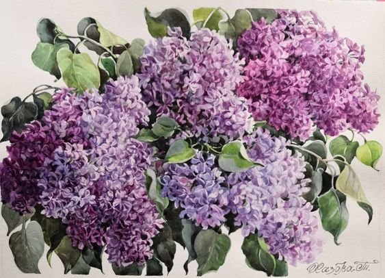 Сирень Худ. Т.Хазова - цветы, весна, живопись, сирень - оригинал