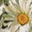 Предпросмотр схемы вышивки «Полевые цветы» (№2650308)