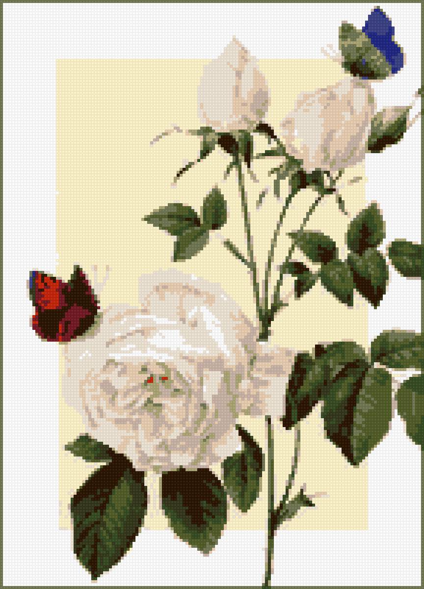 Ветка розы - ботаника, цветы, ветка розы - предпросмотр