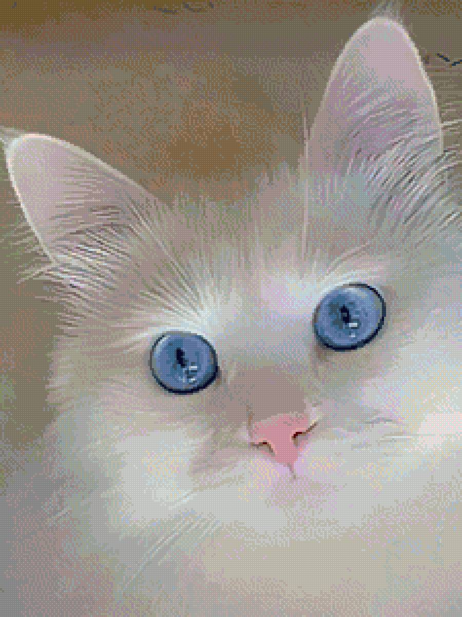 Пушистое внимание - кошка - предпросмотр