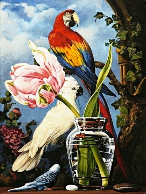 №2651142 - попугаи, птицы - оригинал