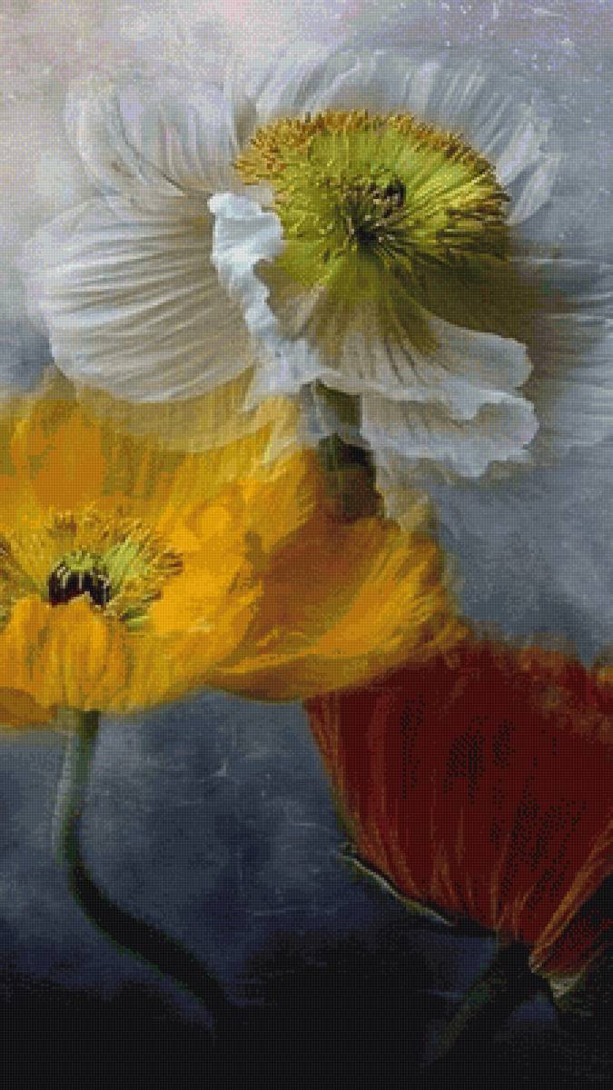 Маки 3 - пнк кирова, маки - предпросмотр