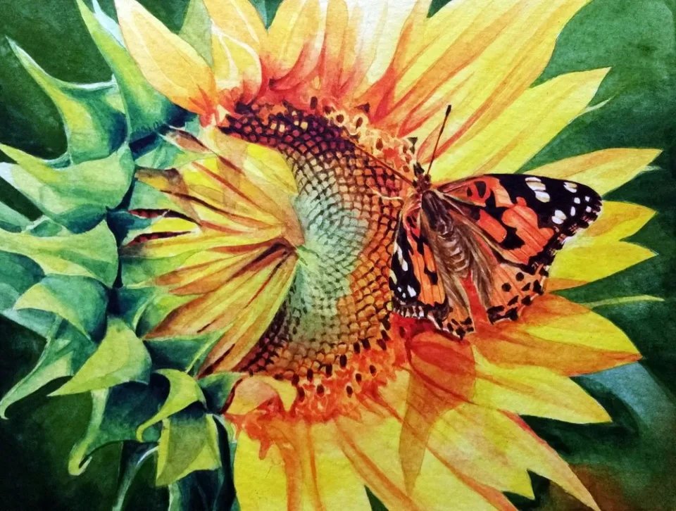 Подсолнух - бабочка - оригинал