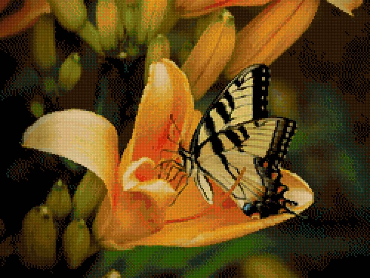 Бабочка красавица - бабочка лилия - предпросмотр