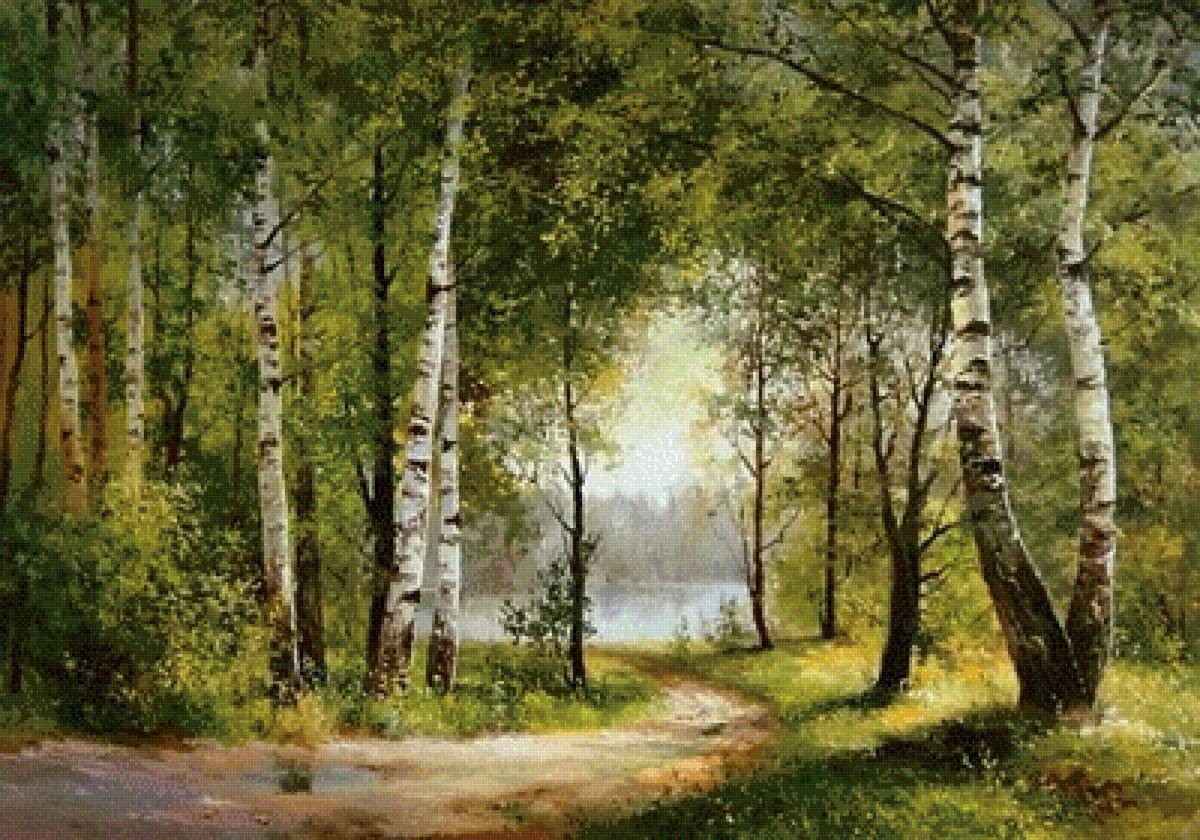 Летний лес - летний лес - предпросмотр