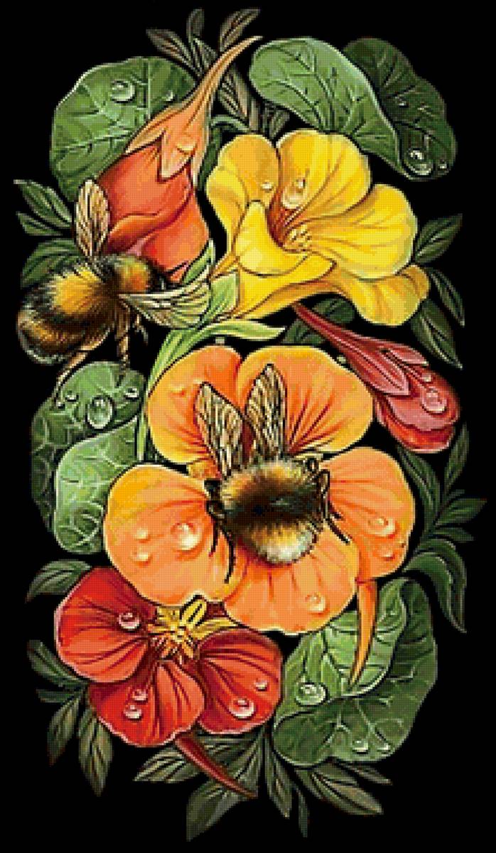 Шмели - шмели - предпросмотр