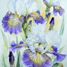 Схема вышивки «№2651708»