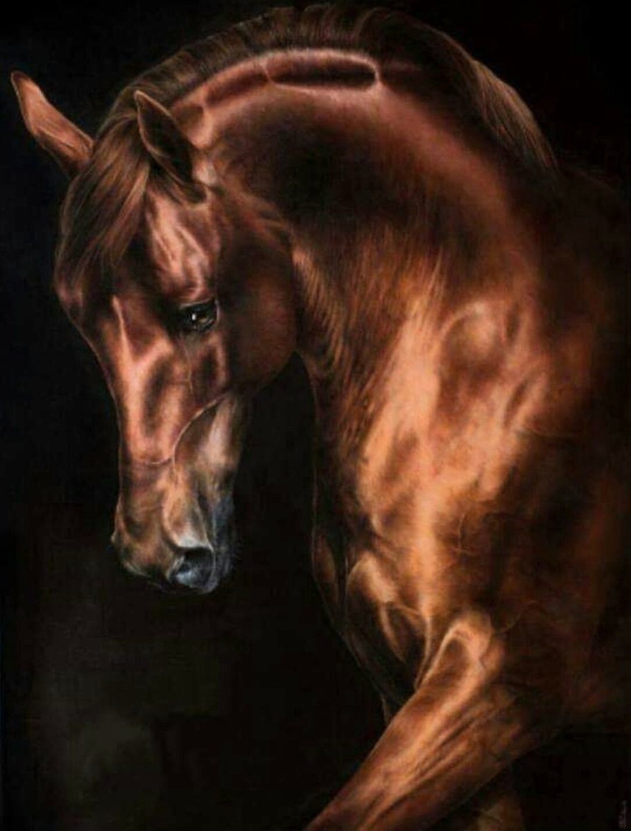 №2651909 - лошадь 🐎 - оригинал