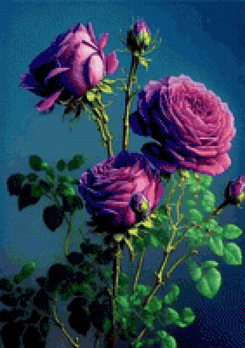 Розы - роза, цветок - предпросмотр