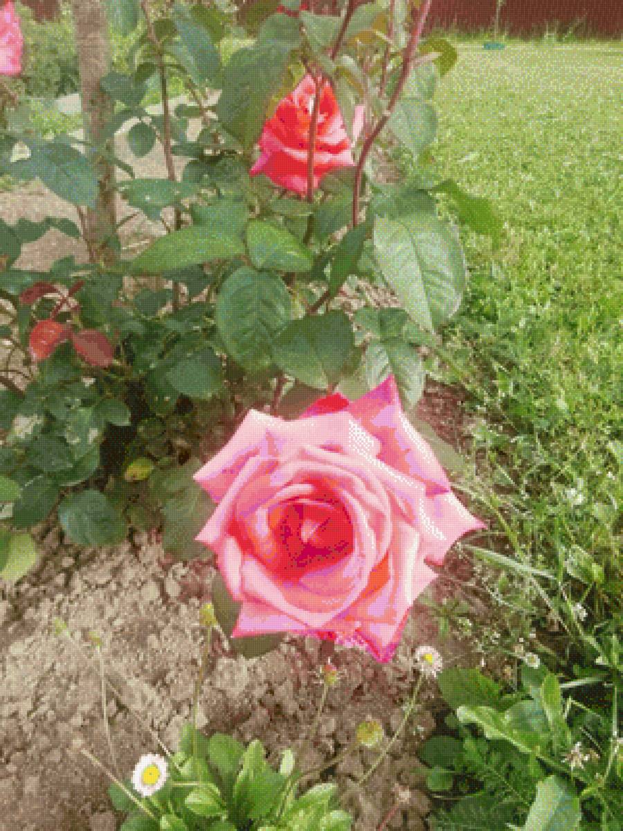 №2652142 - предпросмотр