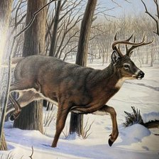 Схема вышивки «№2652422»