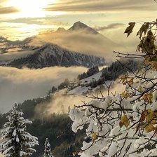 Схема вышивки «№2652449»