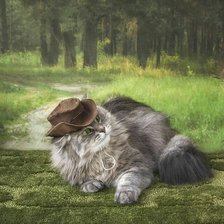 Кот и птица