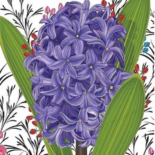 Схема вышивки «гиацинт»