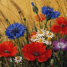 Схема вышивки «лето маки, васильки»