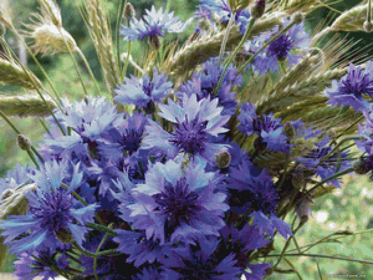 васильки - предпросмотр