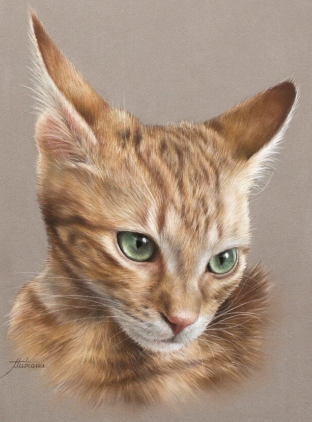 рыжик - оригинал