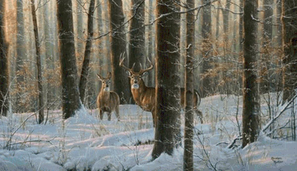 №2652643 - предпросмотр