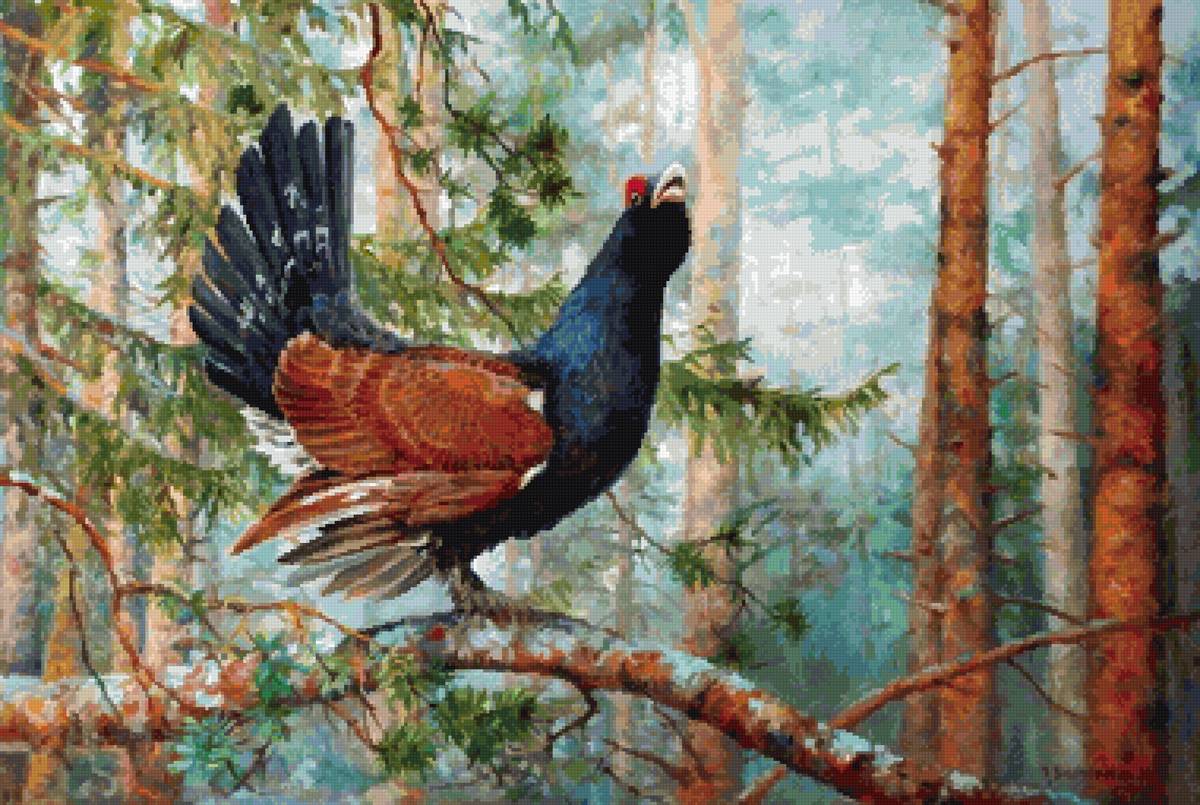 Песня глухаря - природа, лес, птица - предпросмотр