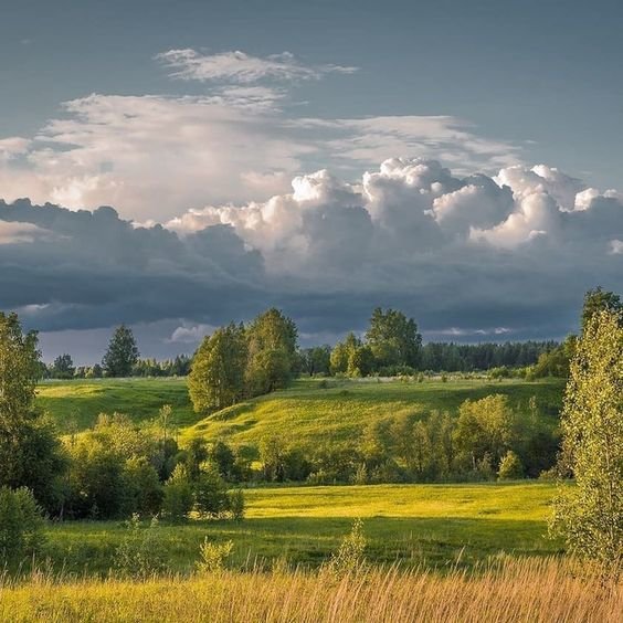 №2652906 - оригинал