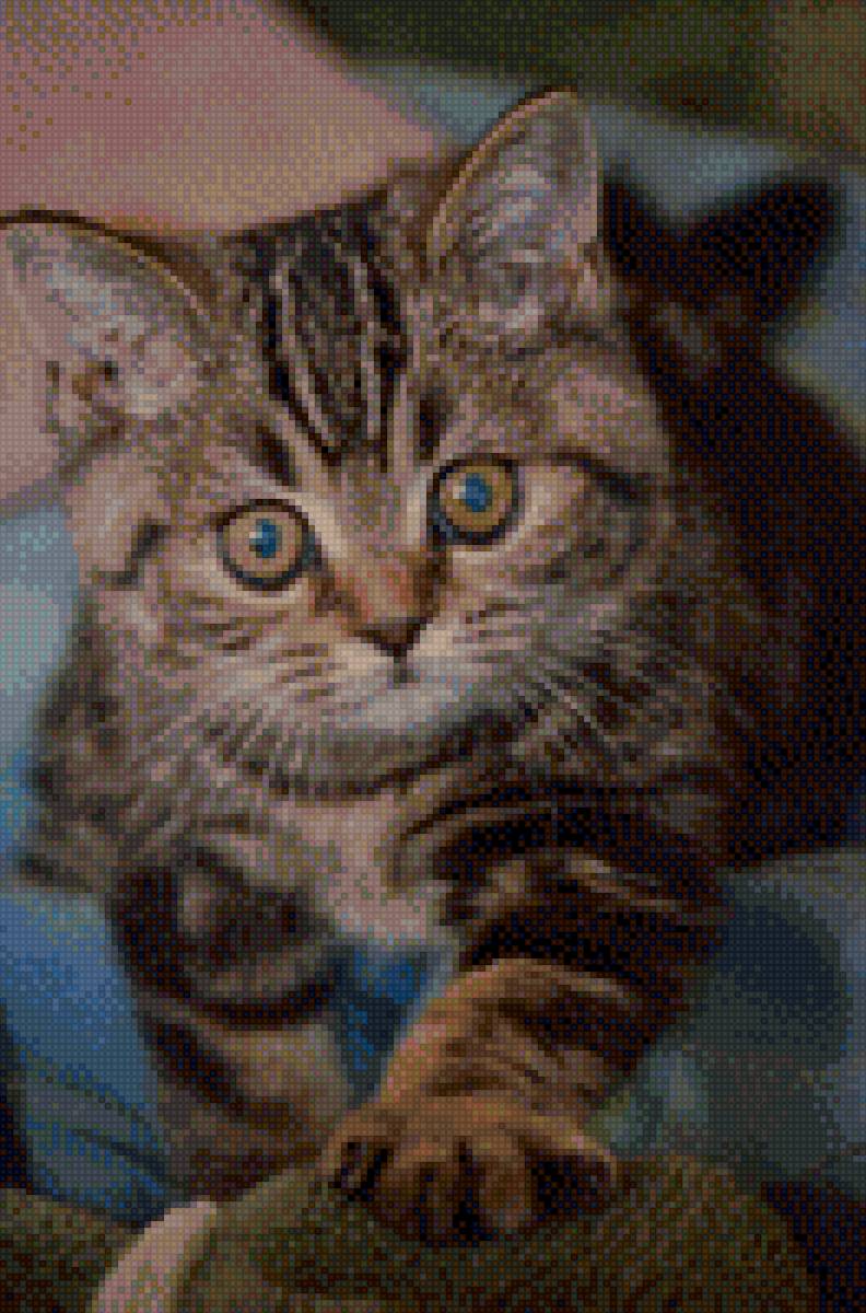 котенок - котенок - предпросмотр