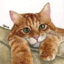 Схема вышивки «,,Рыжий ,, кот»